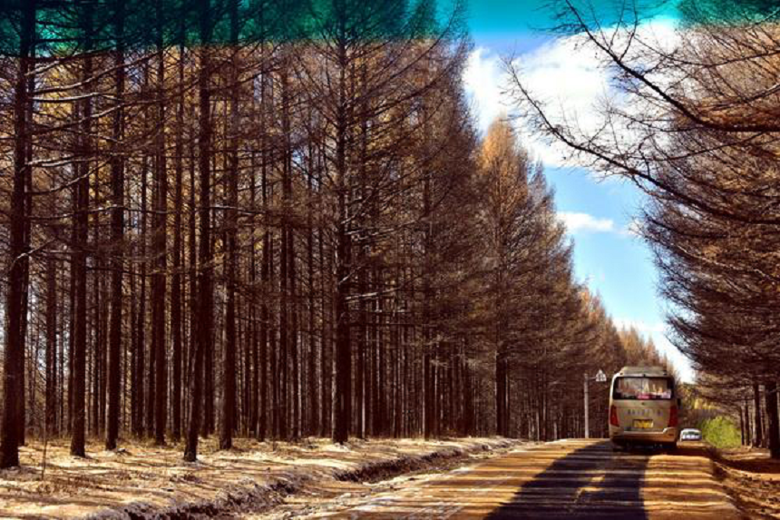 1615538259932083.png 圖片3.png