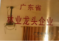 1767508915527727.png image.png